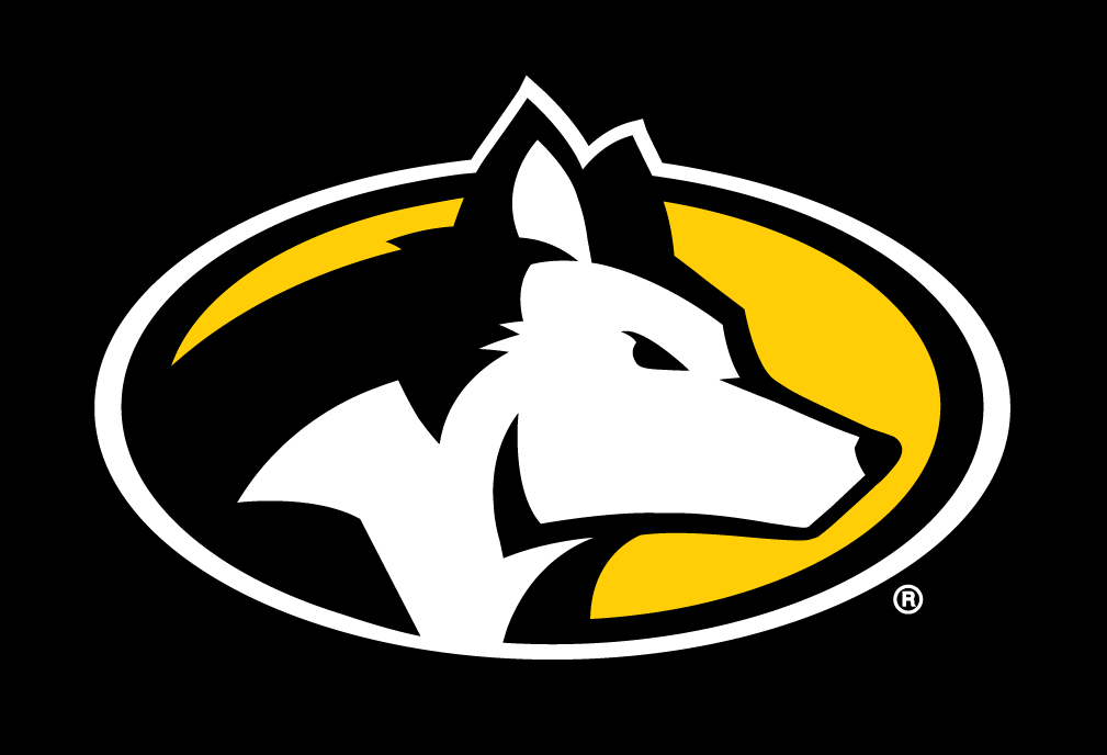 Michigan Tech Huskies 2016-Pres Partial Logo v2 iron on transfers for T-shirts